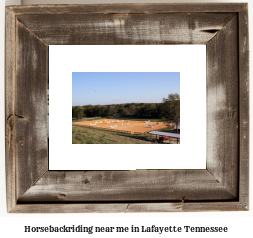 horseback riding near me in Lafayette, Tennessee